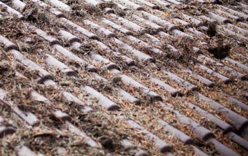 Shorne roof cleaning companies