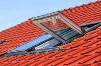 Shorne roof window