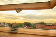 rated Shorne roof window companies